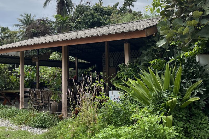 ศาลาโล่งหลังคาลอนของร้านยายปวด ล้อมด้วยสวนและต้นไม้เขียวครึ้ม